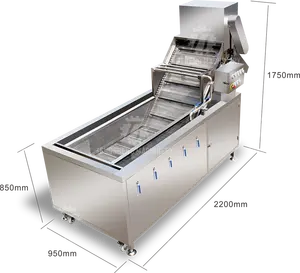 Otomatik zencefil patates meyve sebze yıkama makinesi tarihleri temizleme makinesi patates sebze vorteks yıkayıcılar