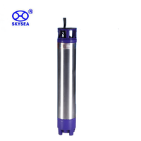 Pompa Submersible Seri QJ Kuat dengan Impeller Tahan Aus untuk Ekstraksi Air Tanah Dalam