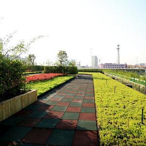 Jardinière modulaire en plastique noir avec trou de drainage pour toitures végétalisées et jardins sur toits - Écologique - Product Image 1