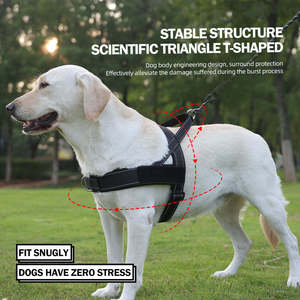 Kinghon Ensemble de harnais de luxe pour chien Style simple Camouflage en nylon solide Polyester PVC personnalisé Disponible en petites tailles XL - Product Image 5