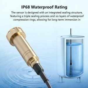OEM Sewerage, air Sisa, Odpadove Vody, เซ็นเซอร์วัดระดับน้ำเสีย HPT605 - Product Image 5