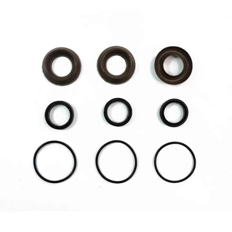 SPT pressure washer spare parts interpump seal ar1828 valve kit /ar1857 packing kit 18mm xr seal repair kit