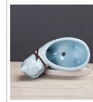 Pots de fleurs en céramique pour jardinage, motif de dessin animé mignon et personnalisé, queue de chat pour la plantation de Cactus succulente, livraison directe