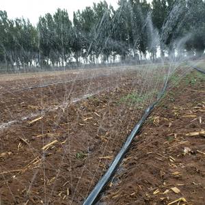 Système <span class=keywords><strong>d</strong></span>'irrigation agricole, <span class=keywords><strong>tuyau</strong></span> <span class=keywords><strong>d</strong></span>'<span class=keywords><strong>arrosage</strong></span> PE, ruban <span class=keywords><strong>d</strong></span>'<span class=keywords><strong>arrosage</strong></span>, <span class=keywords><strong>tuyau</strong></span> laser pour l'irrigation des fermes - Product Image 2