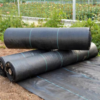 Couleur noire pp matériel 100 grammes sol coverweed barrière net Agriculture tapis de mauvaises herbes couverture du sol