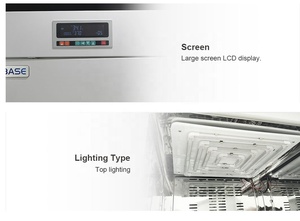 Incubatore Illuminato BIOBASE BJPX-L200BK 200L per Crescita Piante con Illuminazione LED Regolabile - Product Image 6