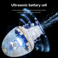 Nettoyeur de pores ultrasonique 4-en-1 avec ions et nutriments, appareil raffermissant pour la peau