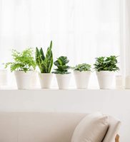 Pot de fleurs personnalisé en fibre de bambou écologique sans BPA, enduit de poudre, incassable, pour la maison et le jardin