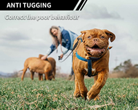 2-in-1 Luxus-Hundehalsband und -Leine aus Nylon mit Fernbedienung, Schocktraining, Piepton, Vibration, 9 Stufen, 1000m Reichweite, Wasserdicht, Verstellbar, Ergonomisch