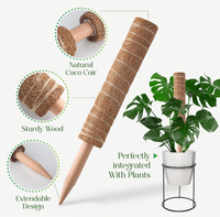 Nouvelles pailles de coco détachables de style américain, robustes, personnalisables et écologiques, pour le soutien des plantes à la maison - Vente en gros printemps
