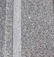 Peinture à l'effet pierre naturelle, finition mate, revêtement aspect pierre naturelle, pour la finition des murs extérieurs des bâtiments de villégiature