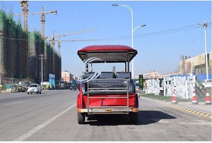Carro Turístico Eléctrico con Panel Solar Opcional, 8 Asientos, Vehículo de Turismo Autocargable para Exteriores - Product Image 2