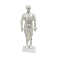 Modelo de Acupuntura Humana Masculina de 50 cm con Puntos de Acupuntura y Meridianos con Base de Plástico