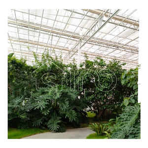 <span class=keywords><strong>Serre</strong></span> <span class=keywords><strong>en</strong></span> verre Venlo de grande taille pour l'agriculture commerciale <span class=keywords><strong>en</strong></span> plein air, de haute qualité, kit complet, fourniture professionnelle, multi-spans, UV - Product Image 6