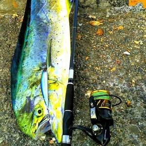 <span class=keywords><strong>Lurekiller</strong></span> <span class=keywords><strong>Saltist</strong></span> CW3000- CW10000 Moulinets Spinning Entièrement Métal pour Pêche en Mer et Jigging - Product Image 5