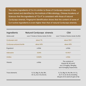 GANOHERB Cordyceps 800mg 60 Cápsulas vegetarianas No OGM Sin gluten Cordyceps Sinensis Cápsula OEM Suministro de suplementos de hierbas - Product Image 2