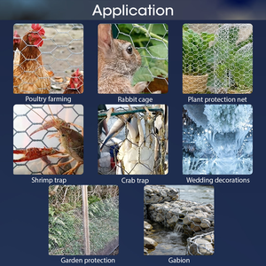 Hexagonal Mesh Chicken Wire <b>Fence</b> Anti rust Chicken Mesh Wire Galvanized Hexagonal Wire <b>Netting</b> for Chicken House Custom Size - Product Image 6
