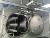 Liofilizador de Frutas y Verduras, Máquina de Secado por Congelación al Vacío para Alimentos, Máquina de Cebolla Liofilizada con Descongelación Alternada