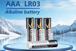 Долговечный набор щелочных аккумуляторов AAA-Новый Эталон долговечности - Product Image 4