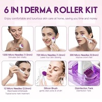 Système de dermaroller DRS 6 en 1 approuvé par les esthéticiennes, accessoires détachables polyvalents, structure hygiénique réutilisable, qualité professionnelle.
