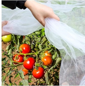 Tissu <span class=keywords><strong>anti</strong></span>-moustiques <span class=keywords><strong>anti</strong></span>-insectes en HDPE vierge 100% protégé contre les UV <span class=keywords><strong>pour</strong></span> la protection des plantes, vente en gros - Product Image 1