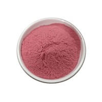 Poudre d'extrait de fruit d'açaï lyophilisée de qualité alimentaire, riche en vitamines, fournie par l'usine OEM ODM