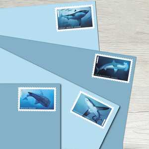 Bulk Wholesale <strong>Post</strong> Stamps <strong>Labels</strong> Card Adhesive Animal Postal Mail Stamp Sticker Postage Mailing Stamps <strong>Labels</strong> for COLLECTION - Product Image 5