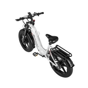 Bicicleta Eléctrica Deportiva de Montaña con Doble Motor, Neumáticos Gruesos 20*4, 7 Velocidades, Amortiguadores Dobles y Frenos Hidráulicos, Entrega en un Solo Lugar en la UE - Product Image 5