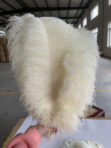 Bán Buôn DIY Craft 50Cm Lớn Lớn Dài Chùm Đám Cưới Trung Tâm Trang Trí Nội Thất Màu Đen Trắng Đà Điểu Lông Cho Lễ Hội Đảng Cung Cấp - Product Image 4