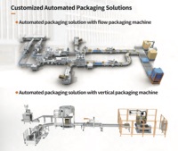 Solución de Diseño de Línea de Empaquetado Llave en Mano para Automatización de Fábrica |   Paletización, Embalaje en Cajas, Transporte y Integración de Robótica Inteligente
