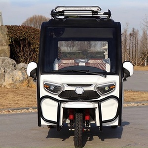 Triciclo Económico con Cabina, Neumático de Tres Ruedas, 1200W 2000W 3000W, Triciclo Pedicab, Triciclo Reversible para Adultos - Product Image 6
