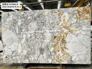 אבן שיש לבנה ארבע עונות, בסיס לבן טבעי עם ורידים אפור-זהובים, עיצוב מודרני, משמשת למשטחי מטבח חיצוניים ווילות. - Product Image 2