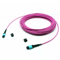 12F OM4 3.0mm LSZH MTP connecteur rapide câble de coffre SC cordon de raccordement MTP multimode pour équipement à fibre optique utilisé dans le réseau 4G