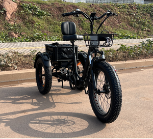 Điện Pas Hệ thống mở di động Trike với vi sai Dễ dàng cài đặt an toàn và ổn định đơn giản bền - Product Image 4