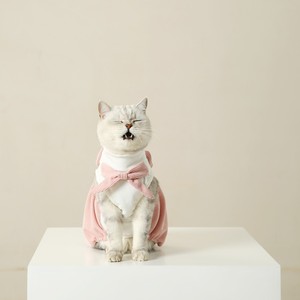 UFBemo <span class=keywords><strong>Fashion</strong></span> Rabbit Styling Baumwoll kleidung Haustier kleider Rock Kleidung Phantasie Hunde kleidung - Product Image 5