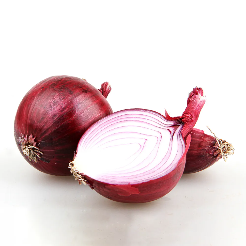 Egyptian Red onion Grade A cheap price Fresh organic onion All sizes Available