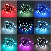 Lumières LED Pixel Ws2811 5v 12v Rgb Rgbw Imperméables, Lumières LED Intelligentes pour Noël, Module Lumineux LED