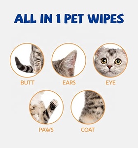 Écologique Biodégradable Pet Chien Chat Nettoyage Humide Dent Oeil Oreille Visage Humide <span class=keywords><strong>Lingettes</strong></span> Pour Animaux De Compagnie - Product Image 6