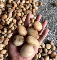 Vente chaude Pierres naturelles polies de la rivière Jaune, gravier et galets de cristal pour jardin et parc extérieur, sélectionnés à la main