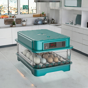 Incubateur à œufs miniature robuste pour 10 œufs de poulet, canard, oie, oiseaux - Product Image 3