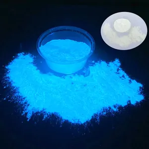 Prix de gros poudre lumineuse lueur dans la poudre fluorescente de pigment de résine sombre