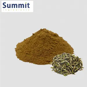 Hot Sale White Tea Extract 10:1 White Tea Extract Powder Camellia Sinensis Extract