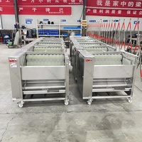 Pomme de terre gingembre carotte Taro rouleau laveuse nettoyant brosse à légumes racine de Lotus légumes lavage Machine à éplucher