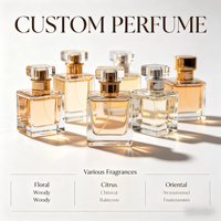 Fabricant d'origine – Eau de parfum liquide personnalisée, extrait de plantes naturelles, design multi-parfums doux, faible concentration
