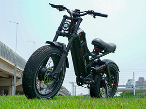 Vélo électrique polyvalent à pneus larges, batterie intégrée, style cyclomoteur, pour femmes et hommes, Shimano 7 vitesses - Product Image 2