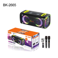 Enceinte Karaoké Portable Woofer avec Lumière de Fête RGB, Stéréo 7.4V 4000mAh, Télécommande, Câble Type-C, Bluetooth, USB, TF, FM pour Extérieur et Fêtes à Domicile