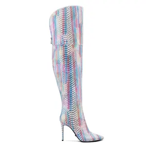 Anmairon शीतकालीन गर्म शीतल महिला जूते सेक्सी इंद्रधनुष के रंग केंचुल ऊपरी घुटने जूते लक्जरी नुकीले पार्टी जूते