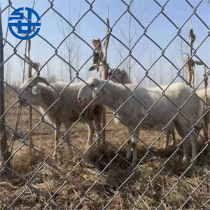 Clôture <span class=keywords><strong>de</strong></span> jardin en acier galvanisé à prix avantageux, revêtement PVC, écologique, anti-rongeurs / Clôture <span class=keywords><strong>de</strong></span> <span class=keywords><strong>chantier</strong></span> en treillis métallique - Product Image 5