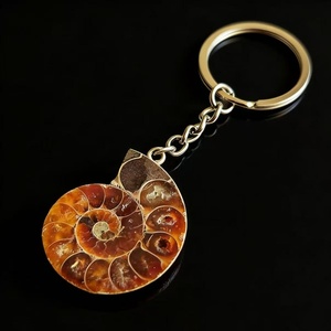 Porte-clés Fossile d'Ammonite de Madagascar, Demi-tranche Polie, Spécimen de Coquille de Nautilus, Cristal, Pendentif de Sac pour Cadeau Souvenir - Product Image 1