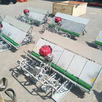 Haute qualité 6 rangées marchant derrière le transplanteur de riz/Paddy Planting Machine Riz Transplanteur